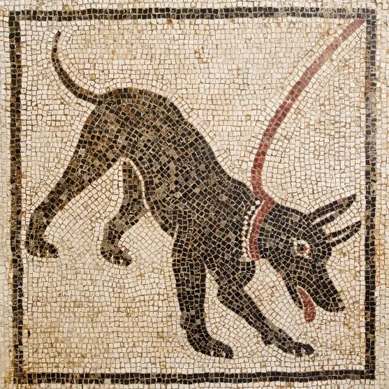 dogs in ancient rome
