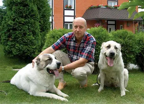 Георгий Онищенко со своими собаками
